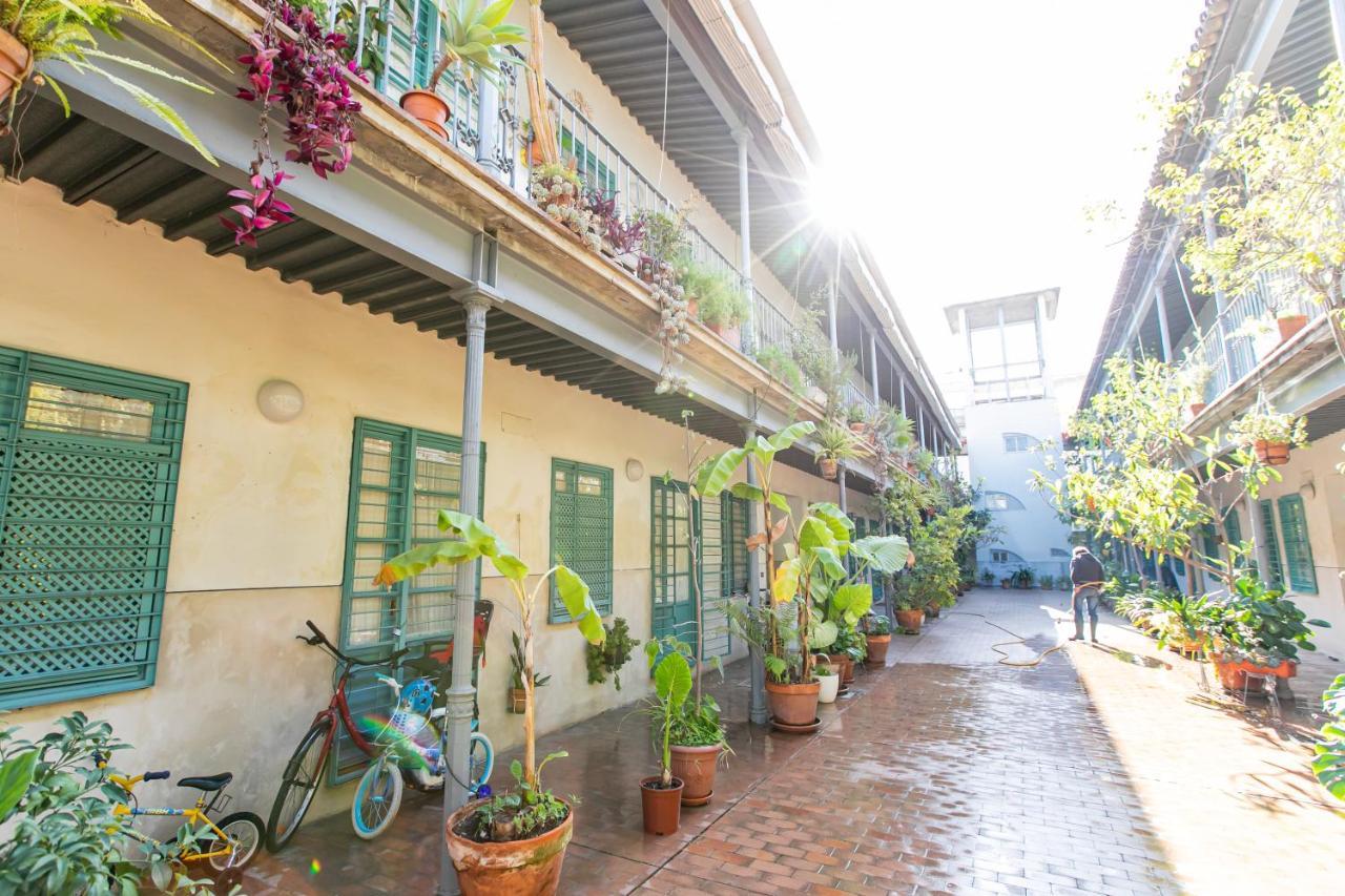 Apartamento 3 Dormitorios En Calle San Vicente. 塞维利亚 外观 照片