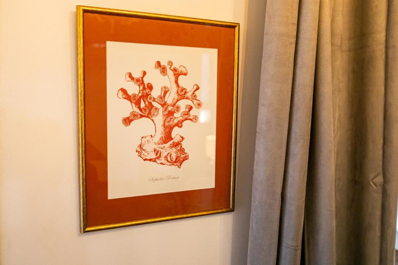 Apartamento 3 Dormitorios En Calle San Vicente. 塞维利亚 外观 照片